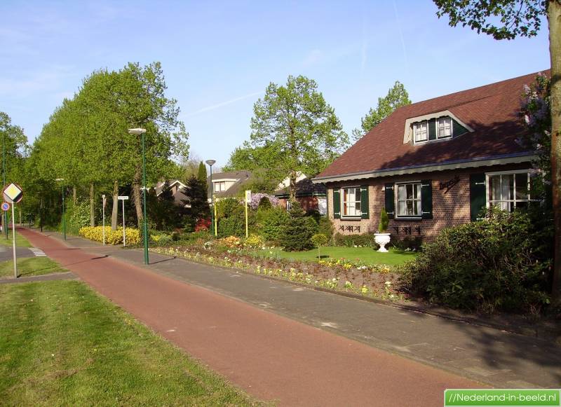 Grote Beer 10 Veenendaal